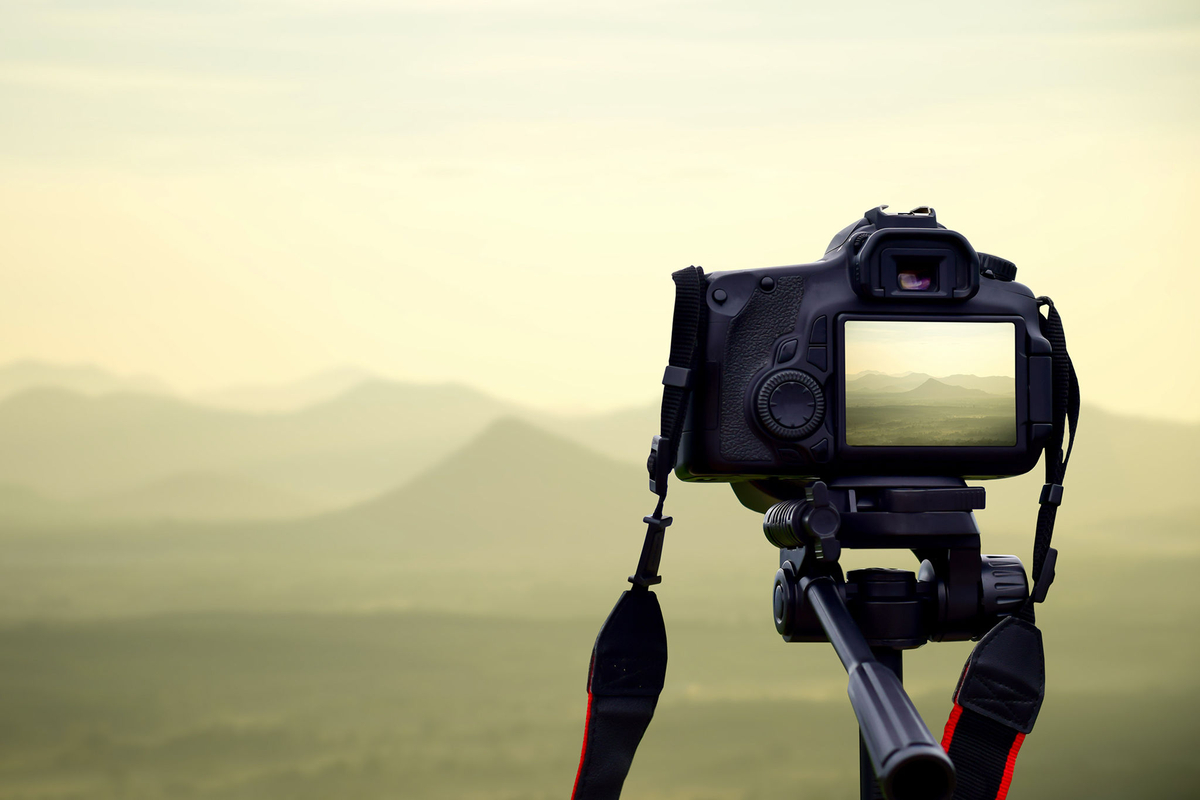 Weather Forecast Daarrba National Park (Cape York Peninsula Aboriginal