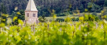 tiempo Francia La Bastide des Fonts