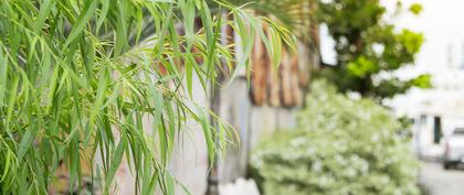 weather France Résidence les Jardins de Chloé