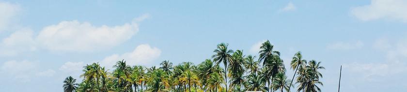  Infos <strong>pratiques</strong> 