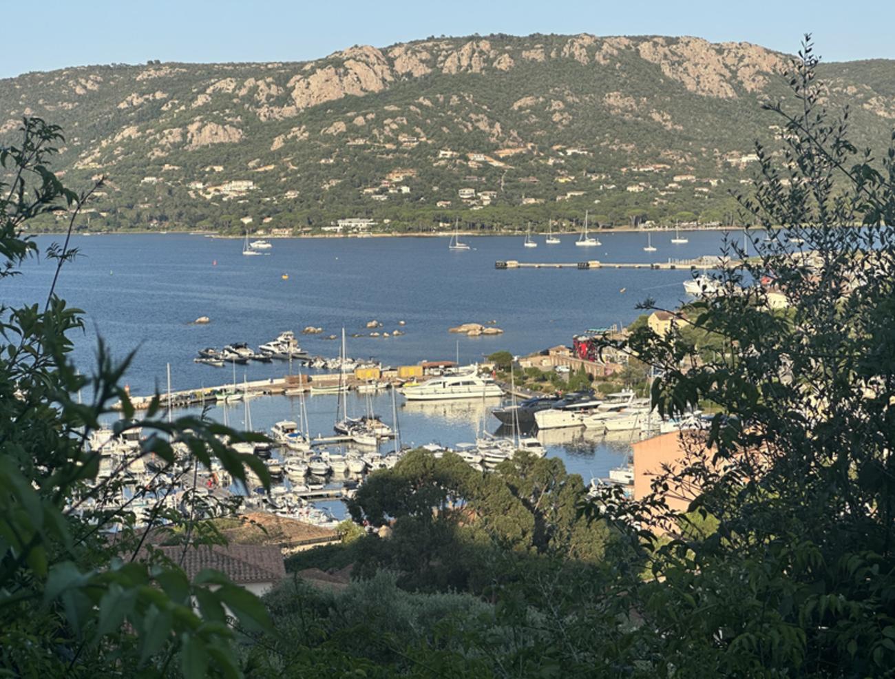 Un nouveau port pour Porto Vecchio | Richez_Associés