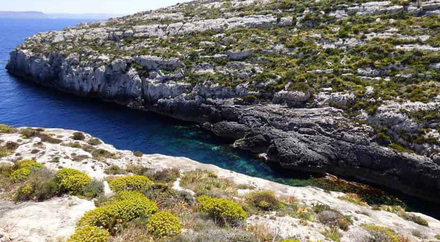 Mgarr ix-Xini Bay, Gozo
