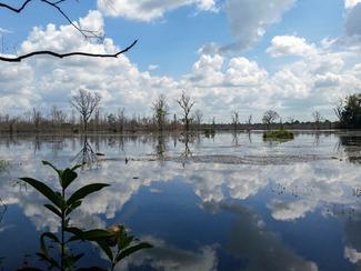 Le Cambodge, un pays authentique