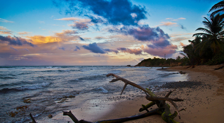 Les plages sont quasi-désertes sur l'île de Vieques... Le calme assuré ! Les plages sont quasi-désertes sur l'île de Vieques... Le calme assuré !