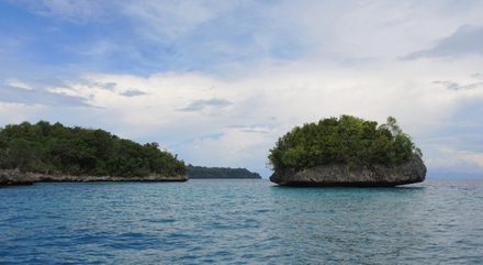 Si vous êtes un amateur de plongée, vous serez aux anges et vous pourrez faire du snorkeling comme bon vous semble sur l'île Togian. Si vous êtes un amateur de plongée, vous serez aux anges et vous pourrez faire du snorkeling comme bon vous semble sur l'île Togian.