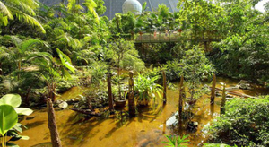 Vacances sous les tropiques... en Allemagne