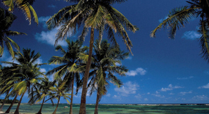 La Désirade, une île hors du temps