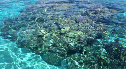 Quel est le plus beau spot de plongée ? Toute la côte !