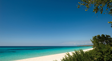Bahia de Las Aguilas