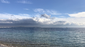 Le printemps arrive en Méditerranée