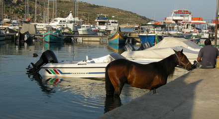 Baignade insolite Baignade insolite