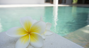 La thalasso et ses bienfaits