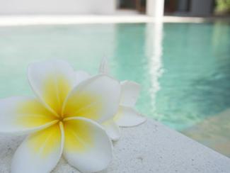 La thalasso et ses bienfaits