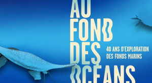 A la découverte du fond des océans à l'Aquarium tropical de la Porte Dorée