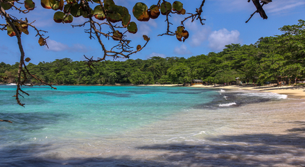 Winnifred beach Winnifred beach
