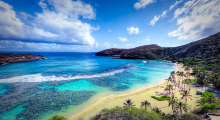 Hanauma Bay : cette réserve naturelle est payante (7.50$) mais vous pourrez profiter de la plage, de la mer et d'une vue spendide Hanauma Bay : cette réserve naturelle est payante (7.50$) mais vous pourrez profiter de la plage, de la mer et d'une vue spendide