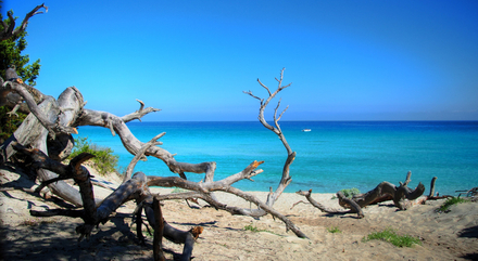 Saleccia, Corse Saleccia, Corse