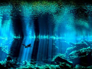 Underwater Photographer of the Year : les plus...