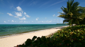 Où partir avec des enfants pendant les vacances de février ?