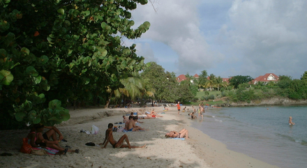 Sainte-Luce est dans le top 5 des plus belles plages de Martinique.  Sainte-Luce est dans le top 5 des plus belles plages de Martinique.