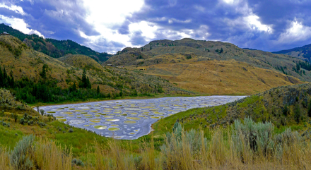 En Colombie-Britannique se trouve le Spotted Lake : un lac "tacheté". 