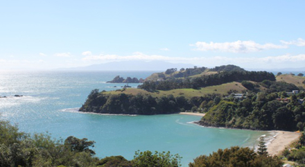 Waiheke Island 