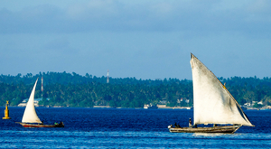 Fascinantes tropiques à Zanzibar