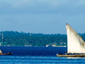 Fascinantes tropiques à Zanzibar