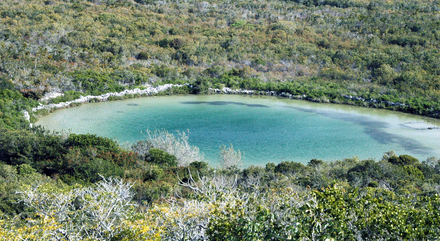 Trou bleu de Walting au San Salvador Nautisme Article