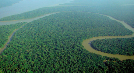 Vue aérienne de l'Amazone Vue aérienne de l'Amazone