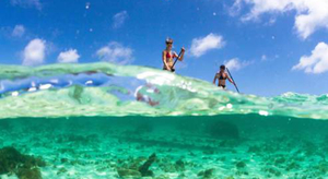 Les Grenadines : le paradis autour d'un archipel de 32 îles