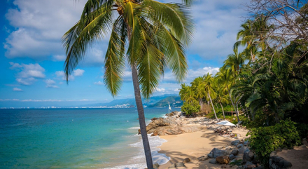 Baie de Banderas, à Puerto Vallerta au Mexique Baie de Banderas, à Puerto Vallerta au Mexique
