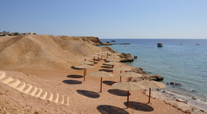 Cette année, c'est Noël sous les cocotiers !