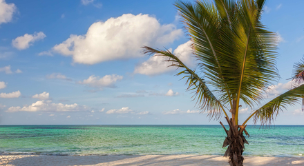 Zanzibar Zanzibar