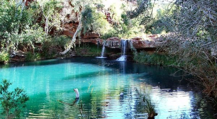 Les principales gorges du parc sont : Bee Gorge, Wittenoom Gorge, Kalamina Gorge, Yampire Gorge et Dales Gorge.