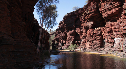 Pour les plus aventuriers d'entre vous, vous avez la possibilité de prolonger le voyage en dormant au coeur du parc.  Pour les plus aventuriers d'entre vous, vous avez la possibilité de prolonger le voyage en dormant au coeur du parc.