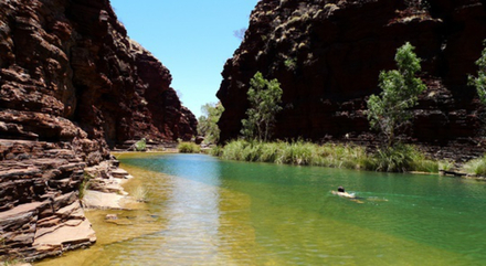 Vous pourrez y rencontrer des kangourous et des wallaroos, des chauve-souris, des pythons, des geckos... sans parler de nombreuses espèces végétales.