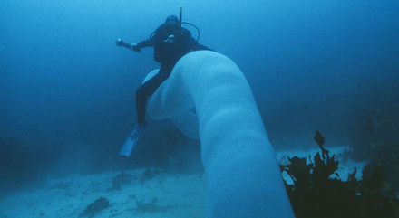 Nautisme Article