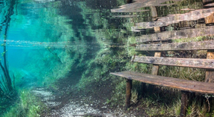 Un saisissant lac vert éphémère en Autriche