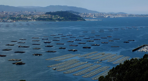 Ria de Vigo Nautisme Article