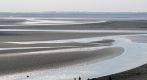 La baie de Somme est en danger