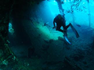 L'océan et ses trésors incroyables