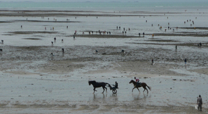 Les dangers de la pêche à pied