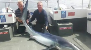 Il pêche un requin d'une taille record... et le relâche