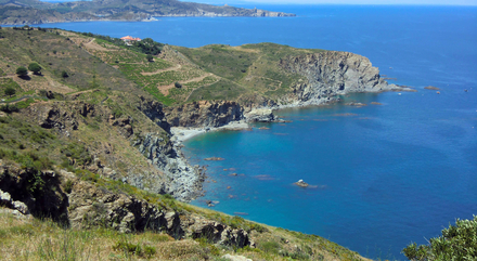 Réserve naturelle marine de Cerbère-Banyuls Réserve naturelle marine de Cerbère-Banyuls
