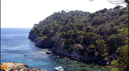 Presqu'île de Giens