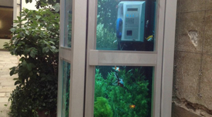 Nantes : une cabine téléphonique transformée... en aquarium