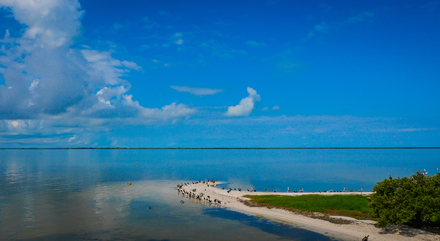Holbox Nautisme Article