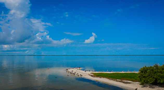 Holbox Nautisme Article