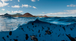 La Transat Anglaise et la Fondation Blue Marine réunies contre la surpêche